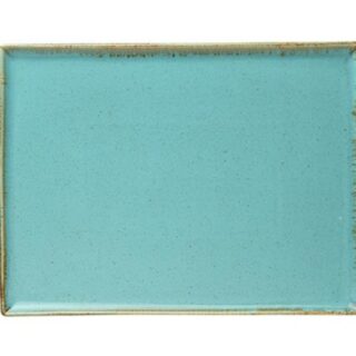 35x16cm Laguna ristkülikukujuline kandik