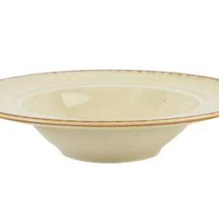 26cm Päikesepastataldrik