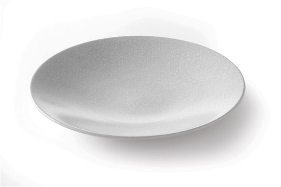 310x30mm Veebitaldrik